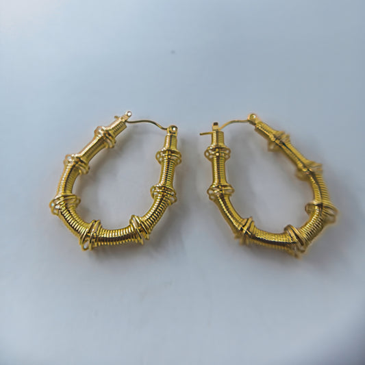 Stainless Steel Medium Hoop Style Earrings
