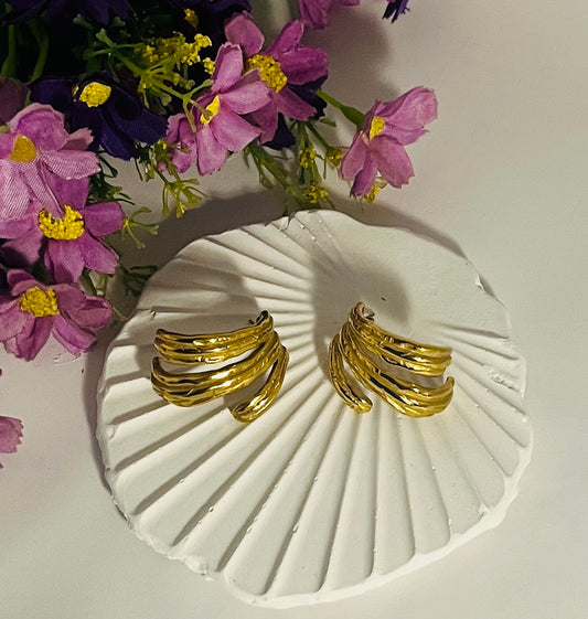 Chunky Hoop Style Earrings