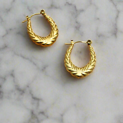 Anti-Tarnish Gold Plated Hoop Earrings